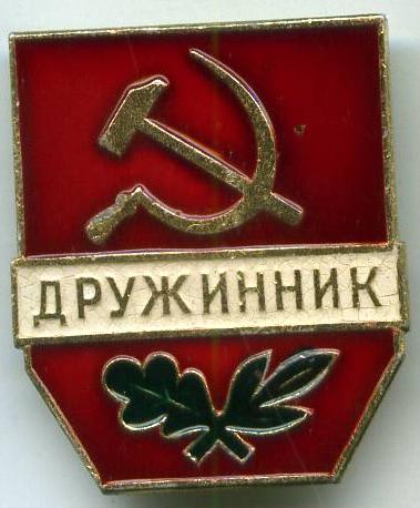 Дружинник