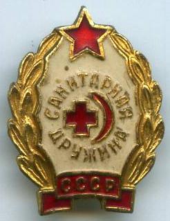Санітарна дружина