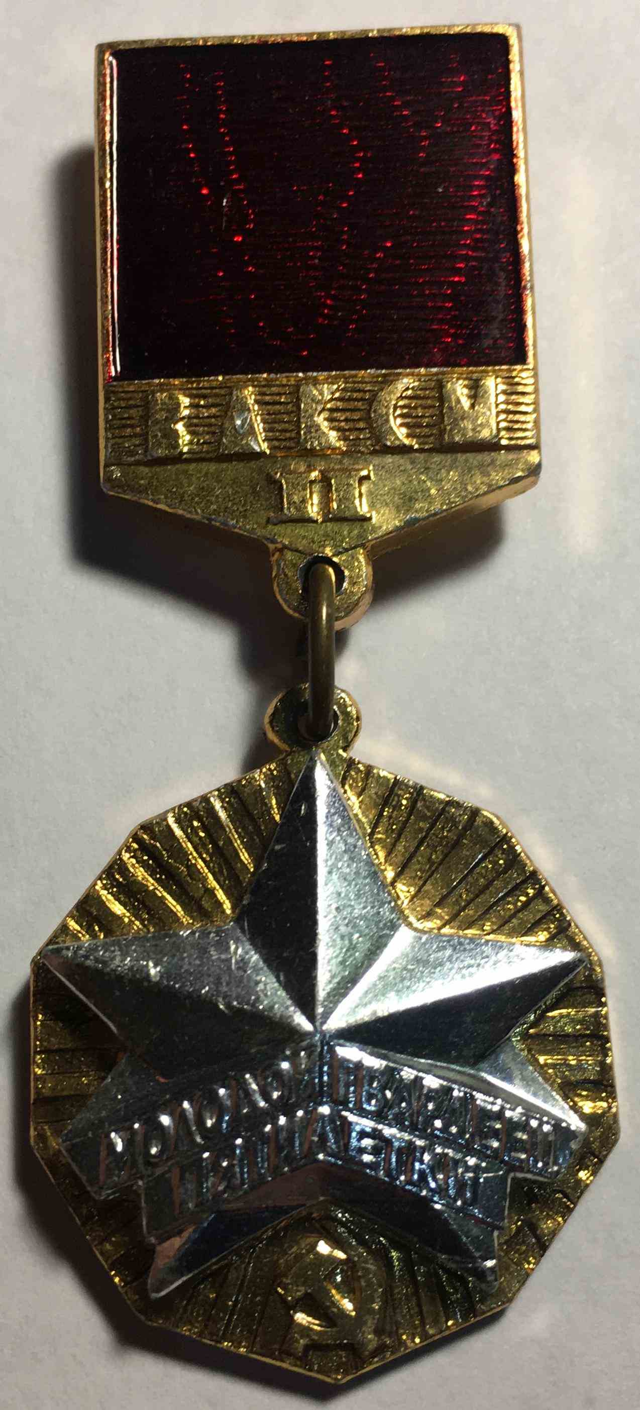 Знак «Молодий гвардієць п'ятирічки» 2 ступеня