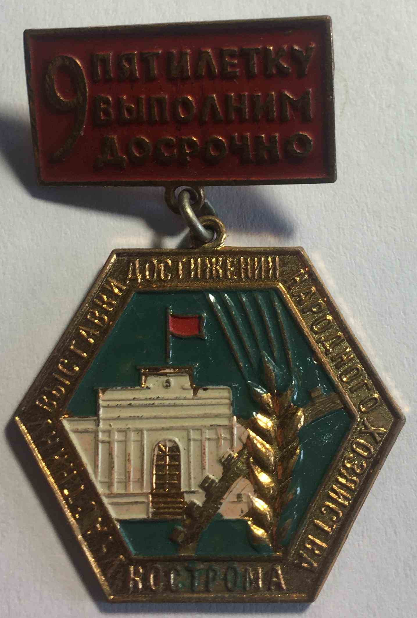 Учасник ВДНГ Кострома