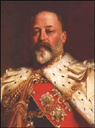  VII