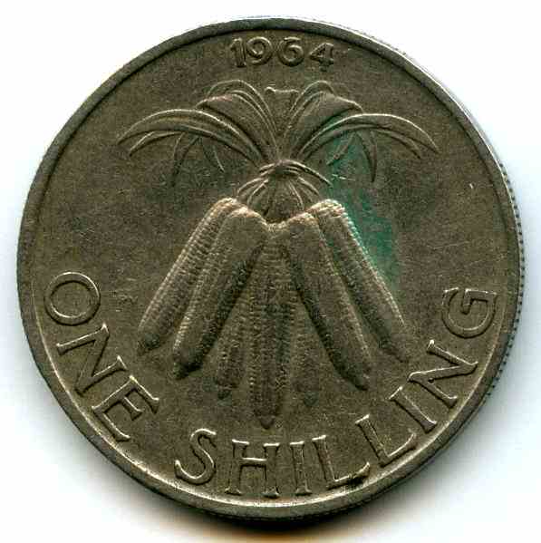 1  1964  