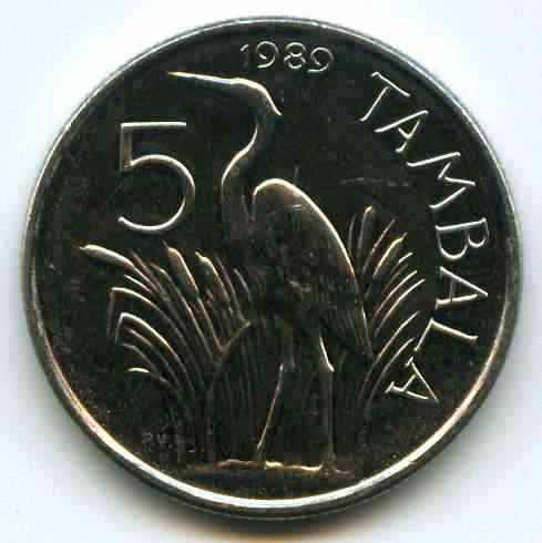 5  1989  