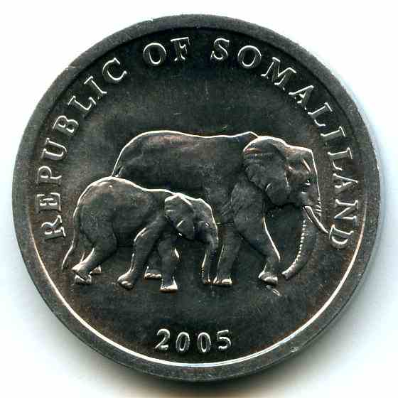 5  2005  