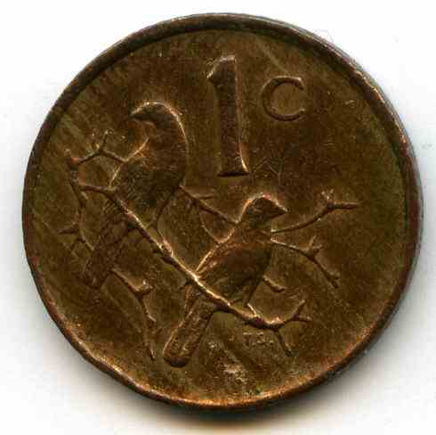 1  1982  ϳ- 