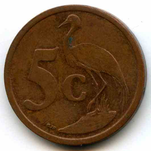 5  2004  ϳ- 