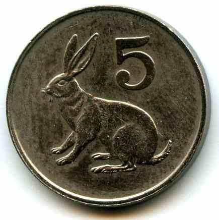 5  1982  ǳ