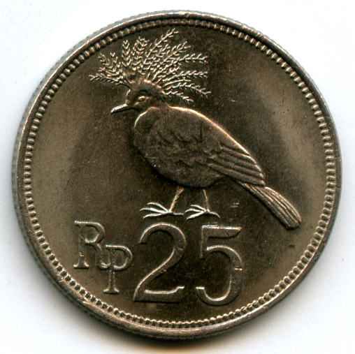 25  1971  