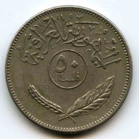 50  1981  