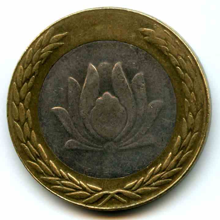 250  2003  