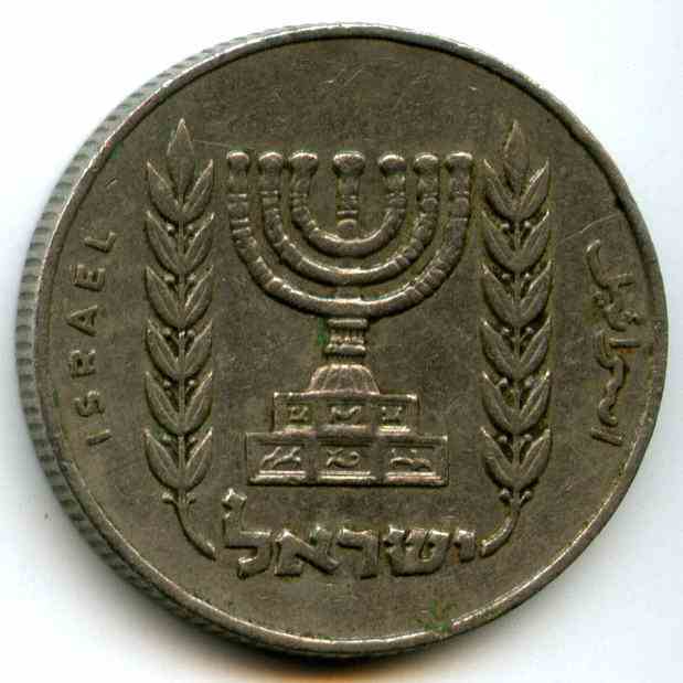 50  1964  