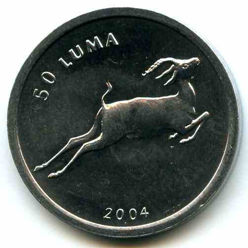 50  2004   