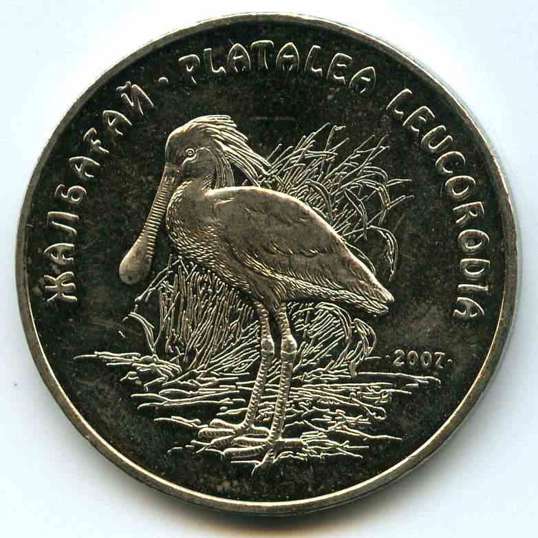50  2007  