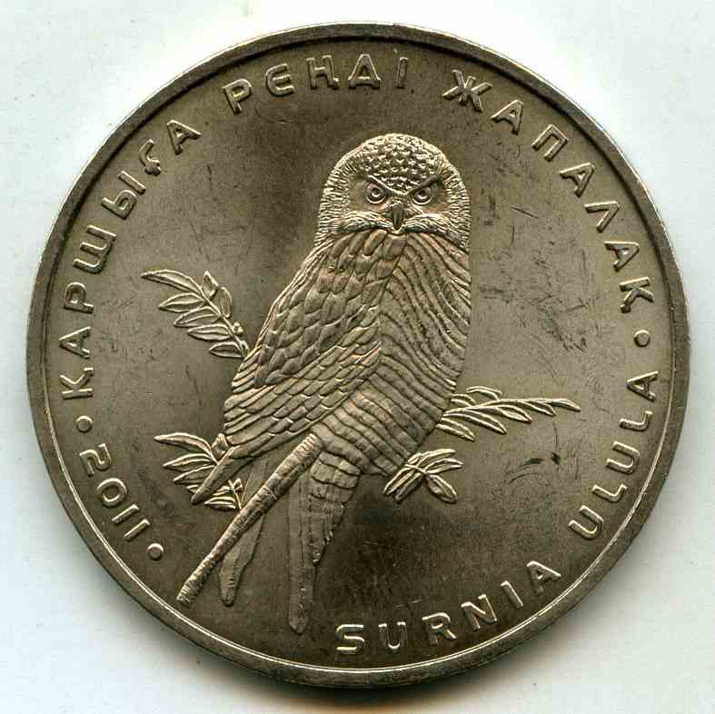 50  2011  