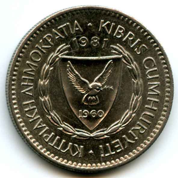 50  1981  ʳ