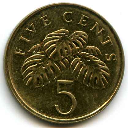 5  2004  ѳ