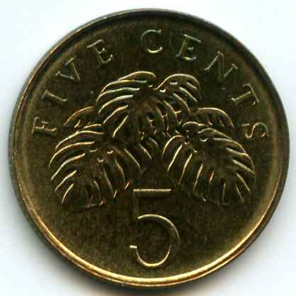 5  2005  ѳ