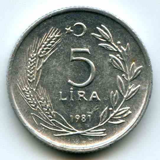 5  1981  