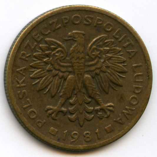 2  1981  