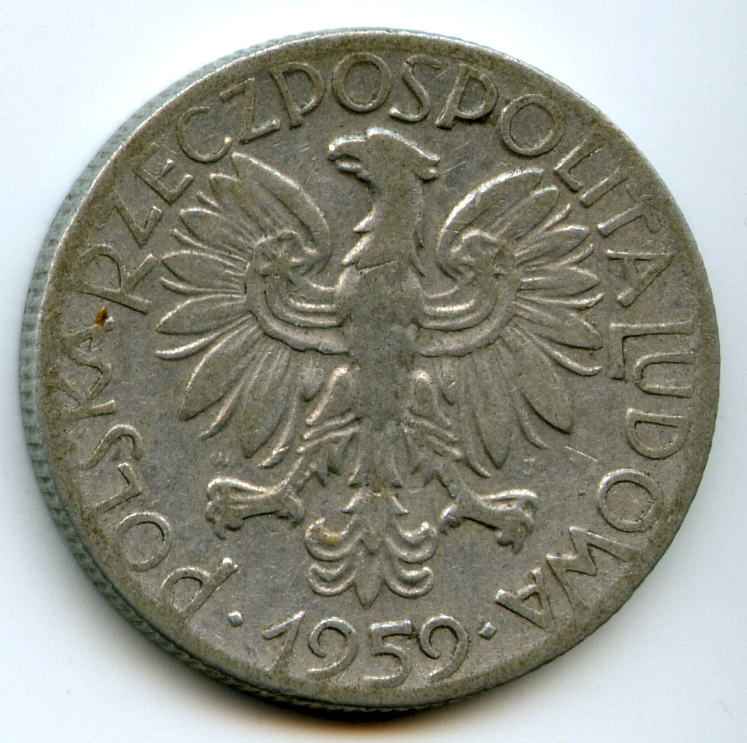 5  1959  
