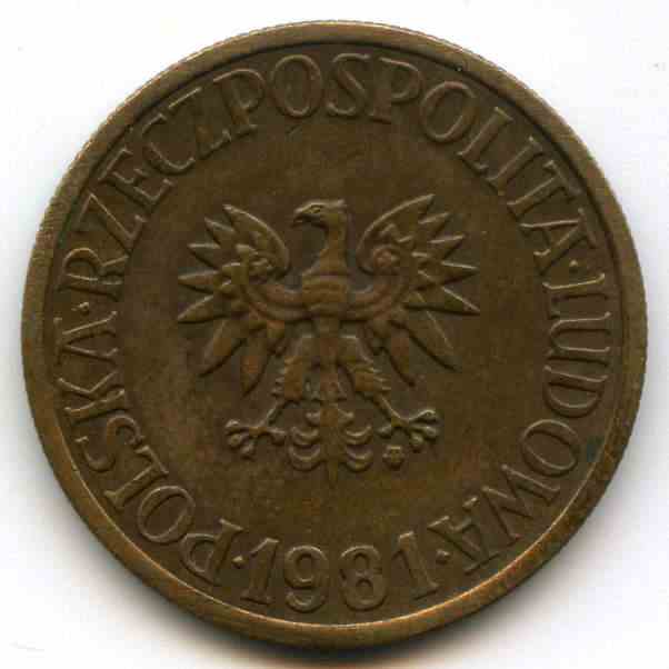 5  1981  
