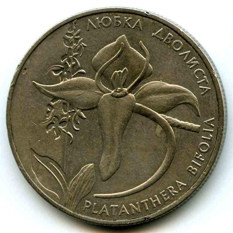 2  1999  