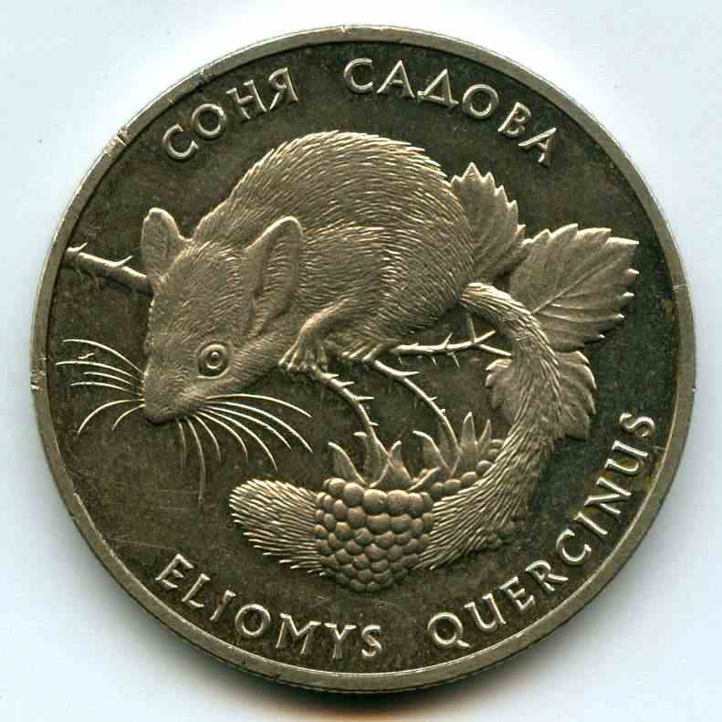 2  1999  
