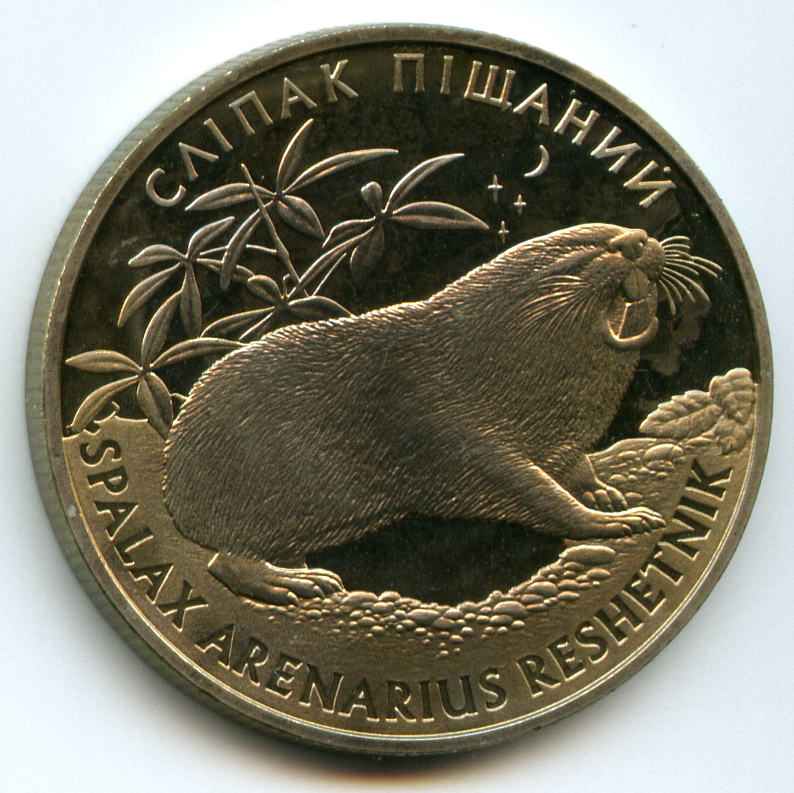 2  2005  