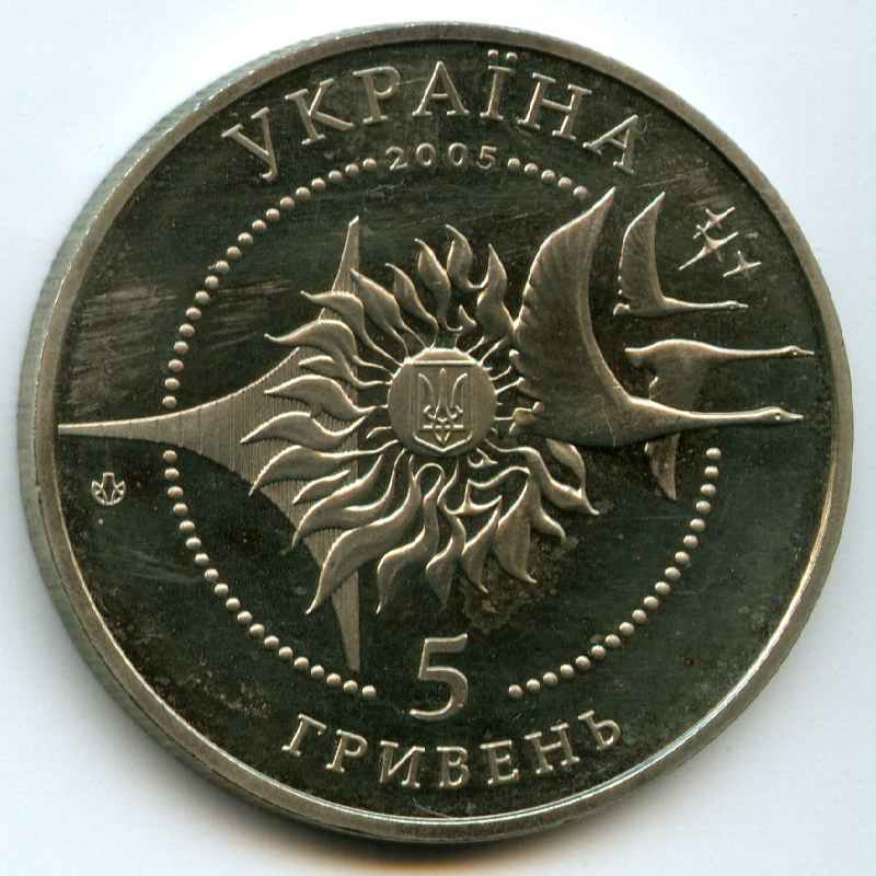 5  2005  