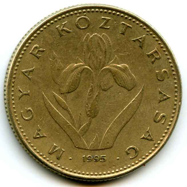 20  1995  