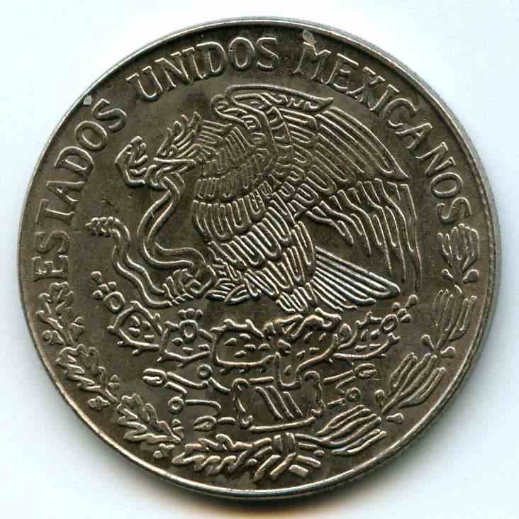 1  1981  