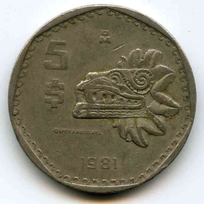 5  1981  