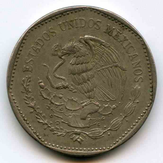 5  1981  